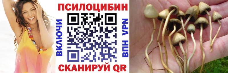 Галлюциногенные грибы мицелий  Ермолино 